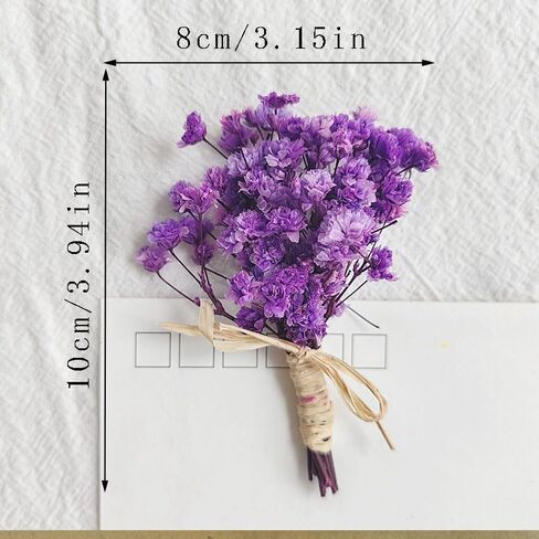 7 قطع صغيرة من باقة زهور هاوورثيا مينيما المجففة، صندوق هدايا لوصيفات العروس من الزهور المجففة الطبيعية لحفلات الزفاف البوهيمية والمزهريات الصغيرة لمراكز الطاولات والحرف اليدوية وديكور زجاجة طاولة عيد الميلاد in Kuwait