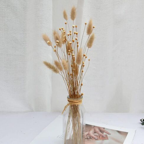 250 Stems Natural Dry Flowers Brazilian Small Star Daisy Decorative Dried Flowers Mini Daisy Chamomile Bouquet for Wedding Floral Arrangements DIY Home Decorations (White ) in Saudi Arabia