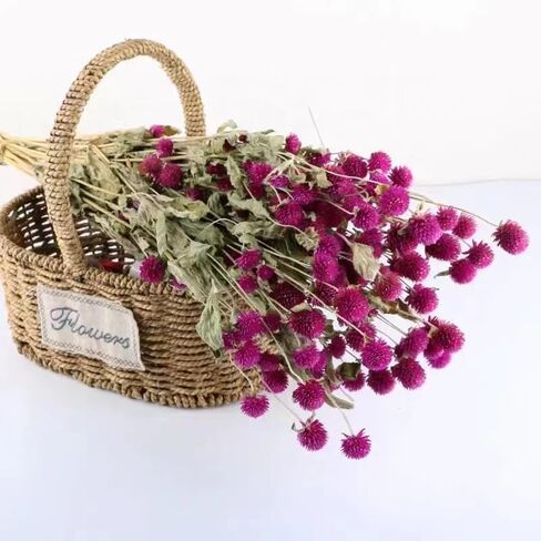 الزهور المجففة الأرجواني غلوب قطيفة الطبيعية الورد المجفف الزهور حزم الزهور المجففة باقة لطاولة الزفاف زهرية ديكور بوهو DIY إكليل الزهور المنزل مكتب حزب حديقة الديكور in Kuwait