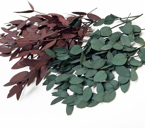 مجموعة الزهور المجففة من L'BREVOGA، مجموعة الزهور المحفوظة، 100% من الأوكالبتوس الطبيعي لشموع الحرف اليدوية وترتيب الزهور لتزيين المنزل (الأوكالبتوس) in Kuwait