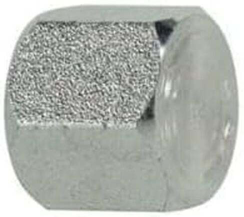 0304C32 Cap Nut, 2 in Female JIC, Steel (2 Pack) in Saudi Arabia