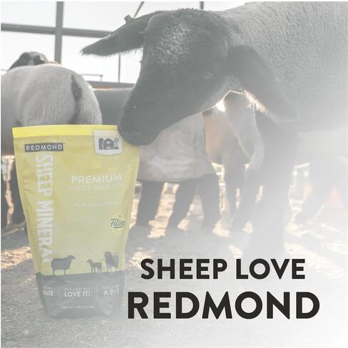 Redmond All Natural Sheep Mineral Supplement - Essential Trace Minerals for Overall Health and Growth Support - 5 lbs in Kuwait