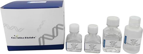 مضاد المكملات C3c MAB للفئران [الحلقة 2] (البيوتين) [REK8-K340] in Kuwait
