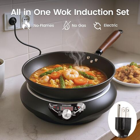 Wok Induction Cooktop 1700W (85V~120V), Even & Faster Heating Induction Wor Burner with Temprature Control, 18 Hours Timer, Auto-off, 16 Level Power Concave Stoves Electric Hot Plate Cooker in Saudi Arabia