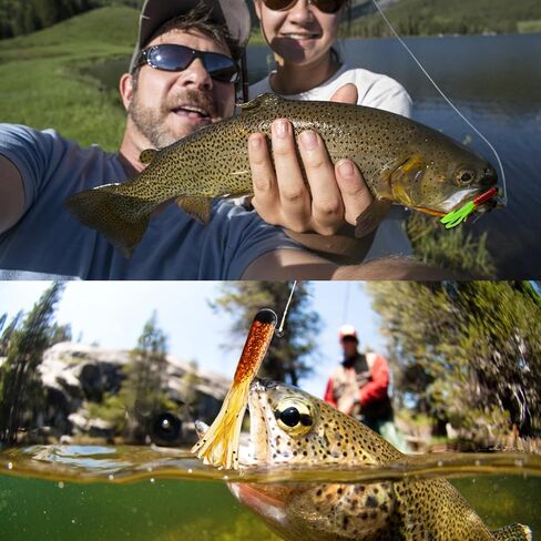 60pcs أنبوب الطعوم سحر بلاستيكي ناعم ، ورؤوس الأنبوب الرؤوس crappie الطعوم الساحرة البلاستيكية الناعمة السباحة الجليد رقصات صيد الأسماك لتروت السلمون السلمون السلمون السلمون السلمون in Kuwait