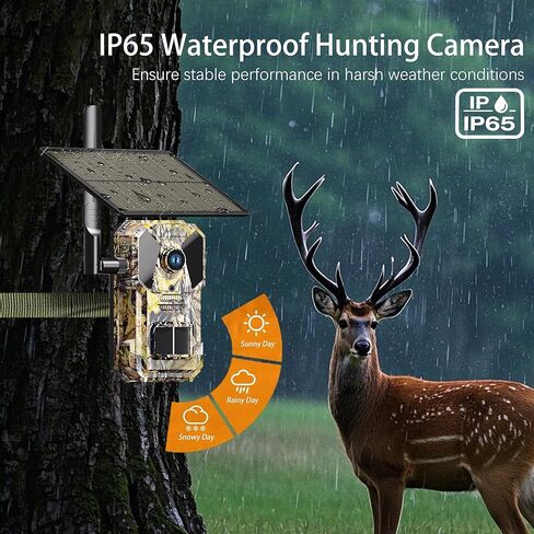 4G LTE Cellular Trail Camera مع GPS ، وكاميرا Trail Dual Lens مع الكشف عن الحركة ، وكاميرا ألعاب الطاقة الشمسية التي ترسل الصور إلى الهاتف الخلوي ، وكاميرا الصيد المقاومة للماء مع رؤية ليلية ملونة ، و NO-GLOW IR in Kuwait