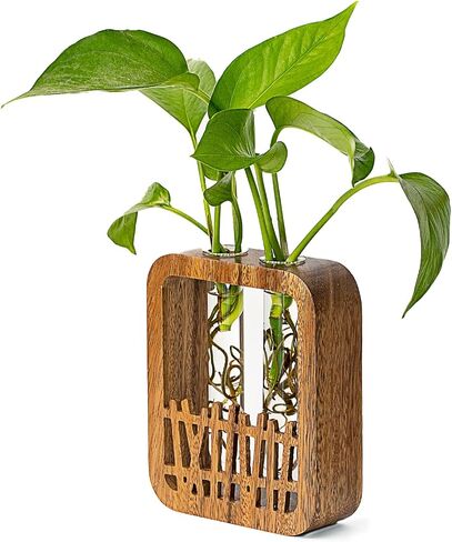 Solid Wood Frame Glass Test Tube Vase Desk Hydroponic Plant, Enhances Home and Office Environment, Small Size (Small) in Saudi Arabia