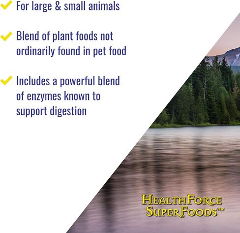 HEALTHFORCE SUPERFOODS Green Mush - 5 Oz Powder in Kuwait