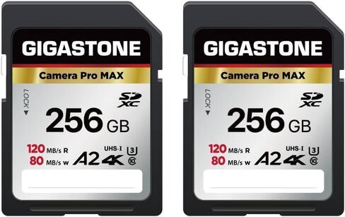 【5-Years Data Recovery】 GIGASTONE 128GB SD Card, 4K Camera Pro MAX, UHS-I A2 4K SDXC Memory Card High Speed 4K UHD Video, Speed up to 160MB/s, Compatible with Kodak Digital Camera, with 1 mini case in Kuwait