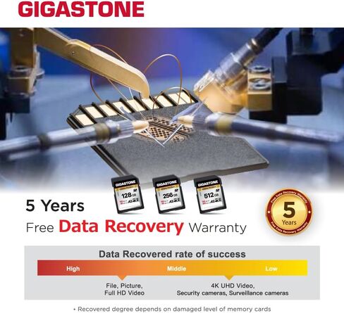 【5-Years Data Recovery】 GIGASTONE 128GB SD Card, 4K Camera Pro MAX, UHS-I A2 4K SDXC Memory Card High Speed 4K UHD Video, Speed up to 160MB/s, Compatible with Kodak Digital Camera, with 1 mini case in Kuwait