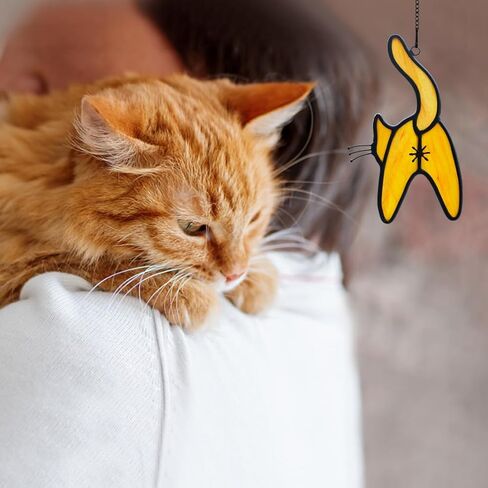 epogifts القط ديكور الزجاج الملون نافذة الشنق، القط الأزرق suncatcher لنافذة القط زخرفة ديكور المنزل، القط تحت عنوان الهدايا للنساء عشاق القطط الهدايا، كبيرة لغرفة المعيشة غرفة نوم in Kuwait