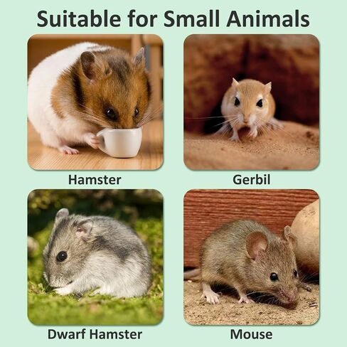 BNOSDM Hamster Wheel for Cage 6.3in Silent Spinner Gerbil Wheel Quiet Exercise Running Wheels for Dwarf Syrian Hamsters Mice Small Animals in Saudi Arabia