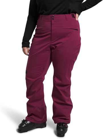 بنطال Freedom Stretch للسيدات من THE NORTH FACE (مقاس قياسي وحجم كبير) - عادي، TNF أسود، Large Regular in Saudi Arabia