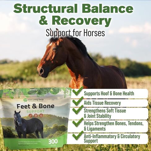 Silver Lining Herbs Equine Feet and Bone Support - Supports Healthy Horse Hoof Growth - Helps Support Healthy Bones, Tendons and Ligaments - Made with Natural Herbs - 1 lb Bag in Kuwait