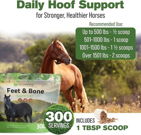 Silver Lining Herbs Equine Feet and Bone Support - Supports Healthy Horse Hoof Growth - Helps Support Healthy Bones, Tendons and Ligaments - Made with Natural Herbs - 1 lb Bag in Kuwait