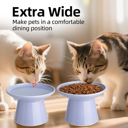6.2 Inch Extra Wide Elevated Ceramic Cat Bowls, Food and Water Bowl Set for Elder Big Cats Small Dogs, Raised Design for Pet Easy Eating, Protect Cat's Spine Set of 2(Light Green) in Kuwait