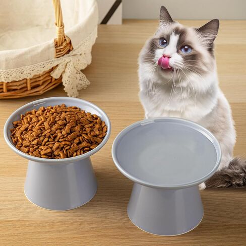 6.2 Inch Extra Wide Elevated Ceramic Cat Bowls, Food and Water Bowl Set for Elder Big Cats Small Dogs, Raised Design for Pet Easy Eating, Protect Cat's Spine Set of 2(Light Green) in Kuwait
