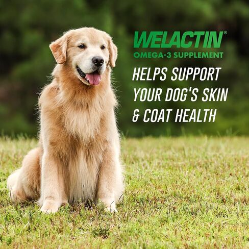 Nutramax Welactin Omega-3 Fish Oil Skin and Coat Health Supplement Liquid for Dogs - 16 Ounce 3 Pack in Kuwait
