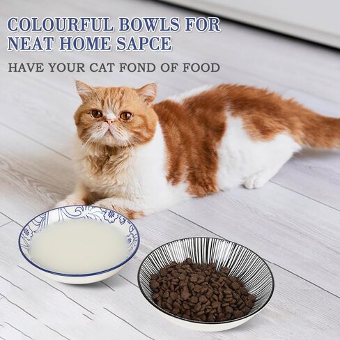 HAPPY KIT 2pcs Little Cat Bowls,5Inch Cat Food Bowl for Indoor Cats,Cute Kittens Plate/Dish/Dishes Set with Non-Slip Relief of Whisker Fatigue for Kitten - Microwave and Dishwasher Safe in Kuwait