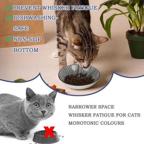 HAPPY KIT 2pcs Little Cat Bowls,5Inch Cat Food Bowl for Indoor Cats,Cute Kittens Plate/Dish/Dishes Set with Non-Slip Relief of Whisker Fatigue for Kitten - Microwave and Dishwasher Safe in Kuwait