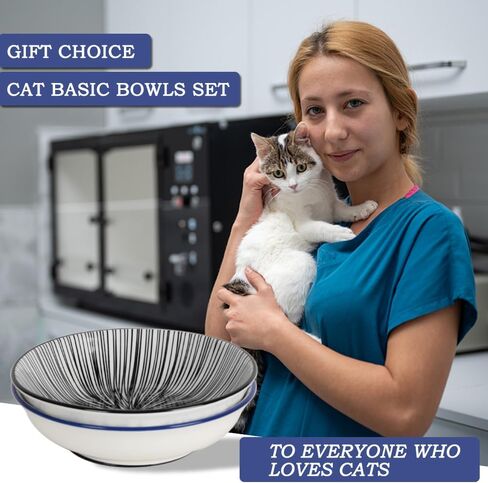 HAPPY KIT 2pcs Little Cat Bowls,5Inch Cat Food Bowl for Indoor Cats,Cute Kittens Plate/Dish/Dishes Set with Non-Slip Relief of Whisker Fatigue for Kitten - Microwave and Dishwasher Safe in Kuwait