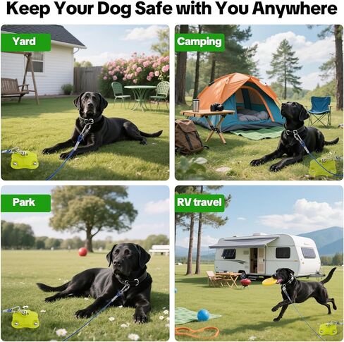 Heavy-Duty Dog Tie Out Stake with 2X20FT Tangle-Free Cables-360° Swivel Anchor, 200LBS Capacity-Stainless Steel&Aluminum Alloy for Two Dogs (Outdoor Camping/Yard)(Dog Stake+2X20ft Cable/200lbs) in Kuwait