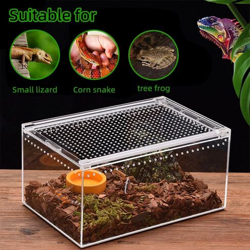 Jumping Spider Enclosure, Integrated Reptile Breeding Box Magnetic Acrylic Reptile Breeding Box for Scorpion Sling Isopods Lizards Roach Invertebrates Insect Mantis(4.1x 3.3X 2.5 inches) in Saudi Arabia