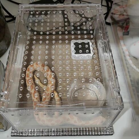 Jumping Spider Enclosure, Integrated Reptile Breeding Box Magnetic Acrylic Reptile Breeding Box for Scorpion Sling Isopods Lizards Roach Invertebrates Insect Mantis(4.1x 3.3X 2.5 inches) in Saudi Arabia
