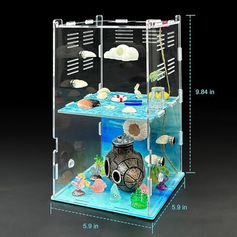 Jumping Spider Enclosure,DIY Insects Habitat,Small Reptile Terrarium Glass House Accessories Set,with Temperature and Humidity Detector Water Feeder Platform Hide,5.5“x5.5"x9.5“ (Forest) in Saudi Arabia