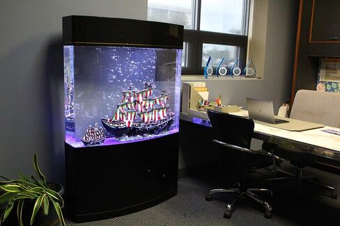 Penn-Plax Water World Luxury Large Cylinder Acrylic Aquarium with Built-in Stand and Storage Top – 360° View – Great for Freshwater and Saltwater Fish – 53 Gallons in Saudi Arabia
