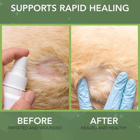 NOVEHA Dog Ear Therapy - Soothes Itchiness, Cleans Ear Canal, and Controls Odor, Ear Cleaner for Dogs - Stop Ear Itching That May Cause Infection - Hypochlorous Acid Cleaning Solution - 8 oz Bottle in Kuwait