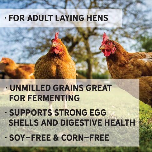 New Country Organics | Wheat-Free Chicken Feed 40lbs | Layer Feed for Laying Hens | Gluten-Free and Soy-Free | 17% Protein | Certified Organic and Non-GMO Chicken Food | 40 lbs in Saudi Arabia