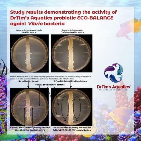 Drtim’s Aquatics Freshwater Bollance Probiotic Solution-بالنسبة لخزانات أسماك المياه العذبة ، وحوادث السمك-الكائنات غير الودية ، وتعزيز جودة المياه المثلى-طبيعية 100 ٪-64 أوقية. in Kuwait