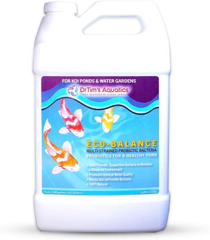 Drtim’s Aquatics Freshwater Bollance Probiotic Solution-بالنسبة لخزانات أسماك المياه العذبة ، وحوادث السمك-الكائنات غير الودية ، وتعزيز جودة المياه المثلى-طبيعية 100 ٪-64 أوقية. in Kuwait