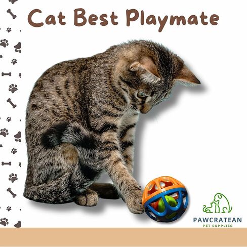 Large Cat Ball Toy with Bell - Durable, Self-Entertainment, Colorful Indoor Exercise (Yellow & Purple) in Kuwait