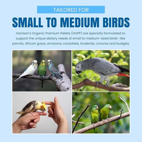 كريات Harrison's Bird Foods Hopp Premium-طعام عضوي ومتوازن غذائي للطيور الصغيرة إلى المتوسطة ، والضغوط الباردة ، والدهون المنخفضة ، والمطوّرة البيطرية ، 25 رطل in Kuwait