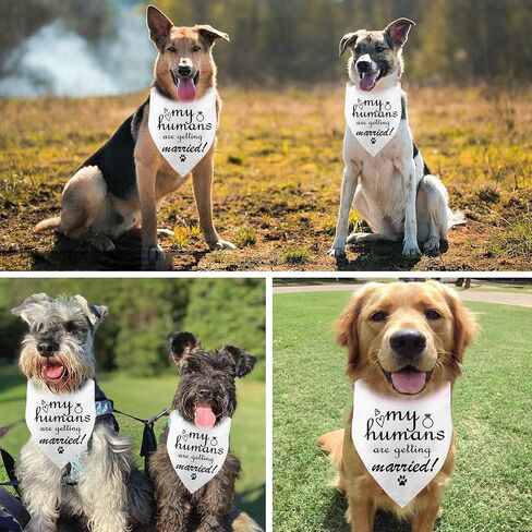 Pink or Blue? We Love You Gender Reveal Baby Announcement Dog Bandana, Pregnancy Baby Announcement Dog Bandana, Pets Prop Party Supplies, Dog Accessories in Saudi Arabia