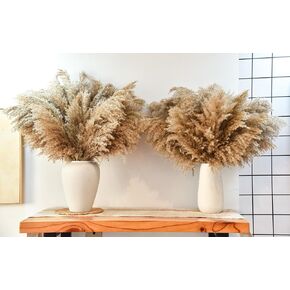 102pcs مجفف بامباس العشب الزهرة باقة ديكور بومباس بيضاء العشب ، ذيول الأرنب ، القصب العشب bouquet-eucalyptus-golden لديكور الطاولة المنزلية بوهو ، الزفاف بوهو الزهور والمواد الحشو المزهرية in Kuwait