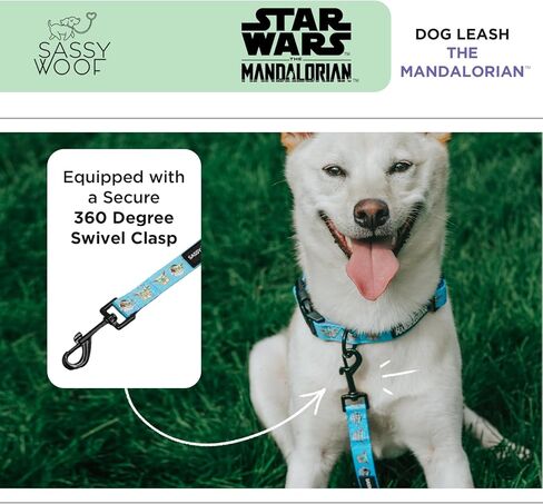 Star Wars™ The Mandalorian™ Dog Leash 60-Inch with Neoprene Padded Handle - Comfortable, Durable, and Stylish for Small to Large Dogs in Kuwait