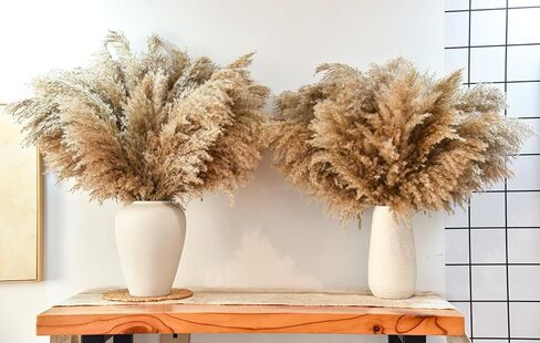 102pcs مجفف بامباس العشب الزهرة باقة ديكور بومباس بيضاء العشب ، ذيول الأرنب ، القصب العشب bouquet-eucalyptus-golden لديكور الطاولة المنزلية بوهو ، الزفاف بوهو الزهور والمواد الحشو المزهرية in Kuwait