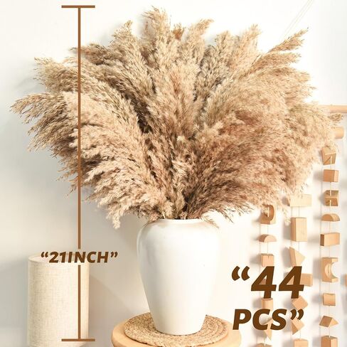 102pcs مجفف بامباس العشب الزهرة باقة ديكور بومباس بيضاء العشب ، ذيول الأرنب ، القصب العشب bouquet-eucalyptus-golden لديكور الطاولة المنزلية بوهو ، الزفاف بوهو الزهور والمواد الحشو المزهرية in Kuwait