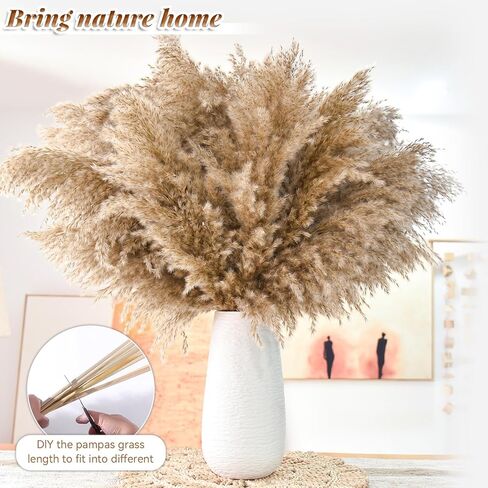 102pcs مجفف بامباس العشب الزهرة باقة ديكور بومباس بيضاء العشب ، ذيول الأرنب ، القصب العشب bouquet-eucalyptus-golden لديكور الطاولة المنزلية بوهو ، الزفاف بوهو الزهور والمواد الحشو المزهرية in Kuwait