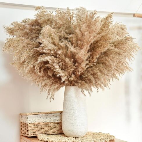 102pcs مجفف بامباس العشب الزهرة باقة ديكور بومباس بيضاء العشب ، ذيول الأرنب ، القصب العشب bouquet-eucalyptus-golden لديكور الطاولة المنزلية بوهو ، الزفاف بوهو الزهور والمواد الحشو المزهرية in Kuwait