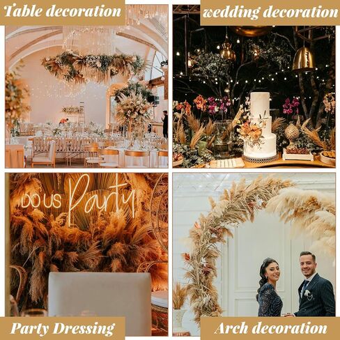 102pcs مجفف بامباس العشب الزهرة باقة ديكور بومباس بيضاء العشب ، ذيول الأرنب ، القصب العشب bouquet-eucalyptus-golden لديكور الطاولة المنزلية بوهو ، الزفاف بوهو الزهور والمواد الحشو المزهرية in Kuwait