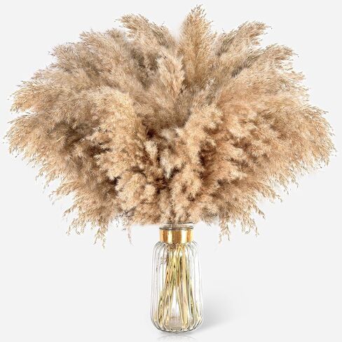 102pcs مجفف بامباس العشب الزهرة باقة ديكور بومباس بيضاء العشب ، ذيول الأرنب ، القصب العشب bouquet-eucalyptus-golden لديكور الطاولة المنزلية بوهو ، الزفاف بوهو الزهور والمواد الحشو المزهرية in Kuwait