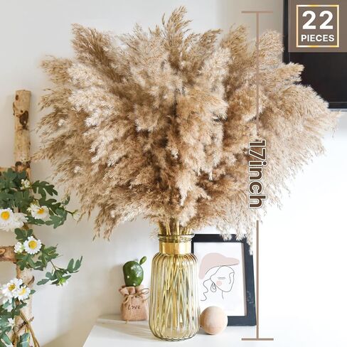 102pcs مجفف بامباس العشب الزهرة باقة ديكور بومباس بيضاء العشب ، ذيول الأرنب ، القصب العشب bouquet-eucalyptus-golden لديكور الطاولة المنزلية بوهو ، الزفاف بوهو الزهور والمواد الحشو المزهرية in Kuwait