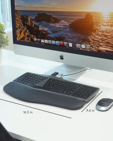 Macally Wired Ergonomic Keyboard for Mac - Compatible Backlit Apple Keyboard with Wrist Rest (Curved for Comfort) Ergo Split Keyboard for MacBook Pro/Air, iMac, Mac Mini in Saudi Arabia