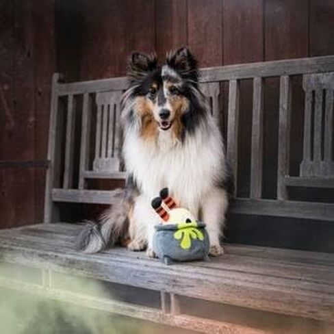 P.L.A.Y. Cute Plush Dog Toys - Howling Haunts Halloween Themed Durable Squeaker Chew Toy, Great for Puppies & Small, Medium, Large Dog - Machine Washable, Recycled Material (Barky's Bite Vampire Fang) in Kuwait