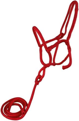 Nylon Rope Shipping Halter w/Lead in Saudi Arabia