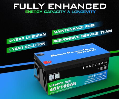 48 Volt 100Ah Lithium Golf Cart Battery, 48V LiFePO4 Battery with 10A Charger, Gauge, 200A BMS, 4000+ Cycles, 4.8 kWh Energy, Perfect for Golf Cart, RV, Marine, Lawn Mower in Saudi Arabia